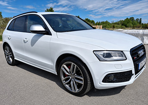 Audi SQ5 (2 foto / 14)