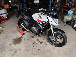 Honda CB600F Hornet (1 foto / 7)