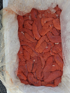 Kalamarja kotid