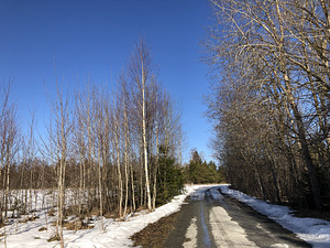 Vasalemma kool, Lemmaru, Lääne-Harju vald, Harjumaa (8 фото из 10)