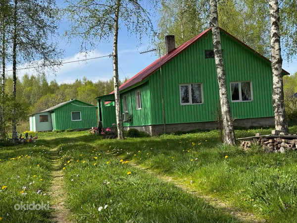 Ninasi, Mustvee vald, Jõgevamaa