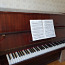 Klaver - tasuta (foto #1)