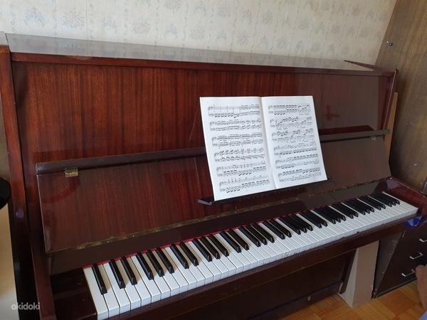 Klaver - tasuta (foto #1)
