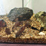 Акавриум 120л с рыбками и шкафом (фото #3)