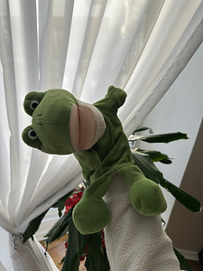 Nukk