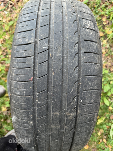 205/50 r17