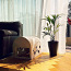 Дизайнерский домик для маленьких собак и кошек (фото #5)