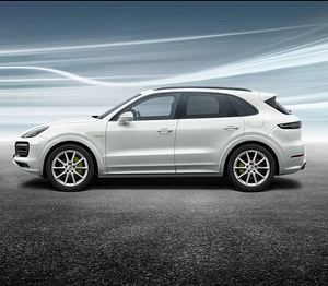 20" CAYENNE E3 DESIGN VELJED KOOS TALVEREHVIDEGA (7 foto / 7)