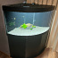 Akvaarium Juwel Trigon 350 LED koos tehnikaga -60%! UUS HIND (foto #3)