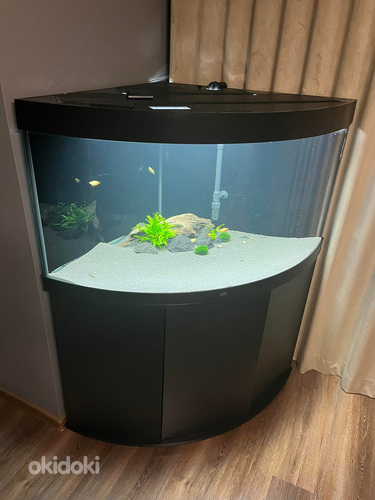 Akvaarium Juwel Trigon 350 LED koos tehnikaga -60%! UUS HIND (foto #3)