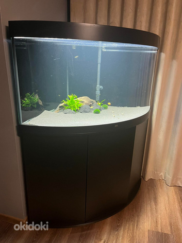 Akvaarium Juwel Trigon 350 LED koos tehnikaga -60%! UUS HIND (foto #4)