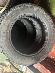 FEDERAL HIMALAYA WS2 103T XL 225/60R17 (3 foto / 4)