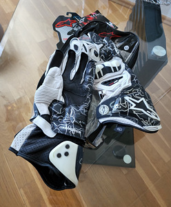 Alpinestars GP Pro XL (2 foto / 2)