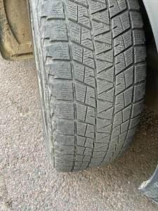 Talverehvid (3 foto / 3)