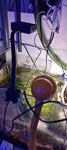 Mereakvaarium 600l (7 foto / 8)