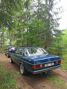 Vahetada Mercedes Benz W123 (2 foto / 9)