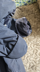 Lenne (2 foto / 6)