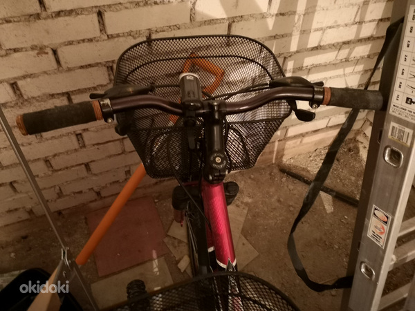 Täiskasvanute jalgrattad