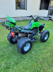 ATV apollo akp carbon 150cc-automaat (10 foto / 10)