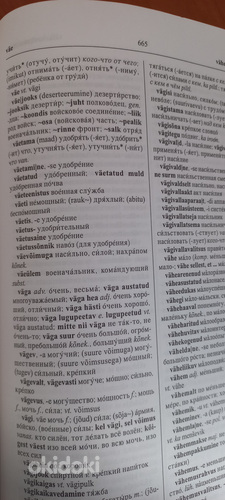 Sõnaraamatud (foto #2)
