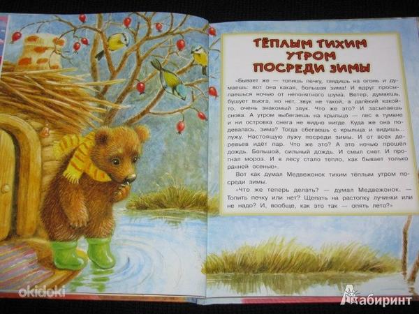 Raamat, vene keeles (foto #3)
