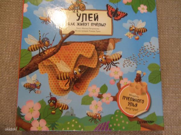 Улей. Как живут пчёлы? новая (фото #1)