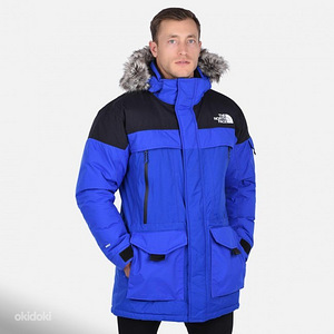The north face (1 фото из 1)