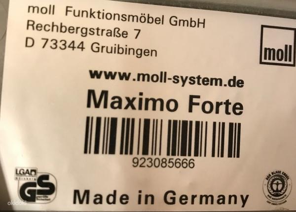Детский качественный стул Moll/Maximo Forte (производство Ге (фото #6)