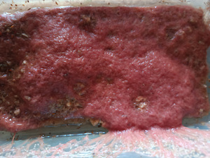 torumees Izya. Müün (3 foto / 4)