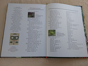 Сад с выдумкой (4 фото из 6)