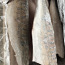 Филе судака Чудского озера (фото #2)