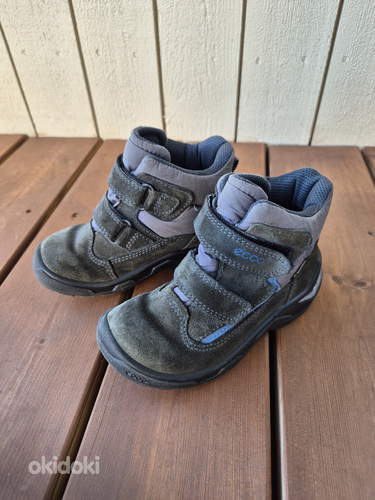 Зимние сапоги Ecco biom 26