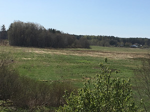 Oru tee 4 Liikva Harku vald 7.54 ha (5 foto / 10)