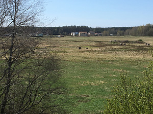Oru tee 4 Liikva Harku vald 7.54 ha (6 foto / 10)