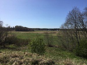 Oru tee 4 Liikva Harku vald 7.54 ha (9 foto / 10)