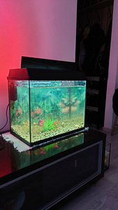 Juwel akvaarium 65L (1 foto / 4)
