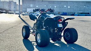 Tänavalegaalne Quad DINLI DL901-450, 450cc ja 35kW (3 foto / 9)