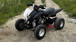 ATV/QUAD Dinli DL901-450 - 450 куб. см и 35 кВт (2 фото из 10)
