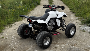 ATV/QUAD Dinli DL901-450 - 450 куб. см и 35 кВт (3 фото из 10)