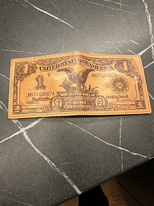 Rahakott USA dollari disainiga (1 foto / 3)