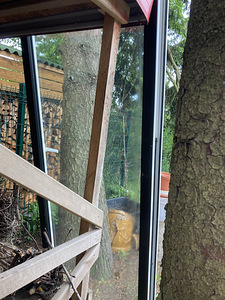 5 suured aknad (ühe uksega) / 5 big windows / 5 big windows (10 foto / 10)