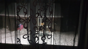 Müüa üli ilusad karginad, musta värvi (1 foto / 1)