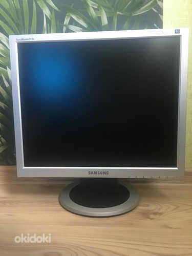 Monitor Samsung Synkmaster913N (foto #1)