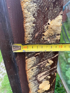 Tumepruun täispuit uks leng katki 172,5 x 67 x 10 (5 foto / 5)