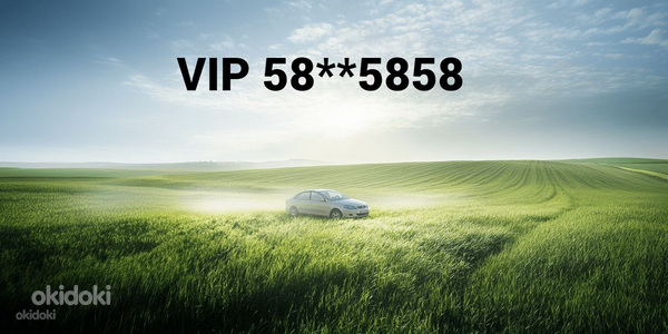 Vip номер