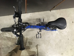 Laste jälgratas KUbike - ÜLIKERGE! (ainult 5 kg) 14" (5 foto / 6)