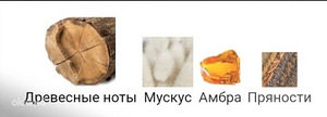 Mukhlat Abiyad Afnan 20 ml (4 foto / 4)