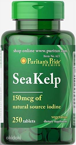 Sea kelp, Puritans Pride (Ameerika) (foto #1)