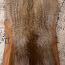 Vest nahast / Leather vest with fur (foto #2)