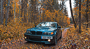 E46 320d 110kw 2002 (4 foto / 11)